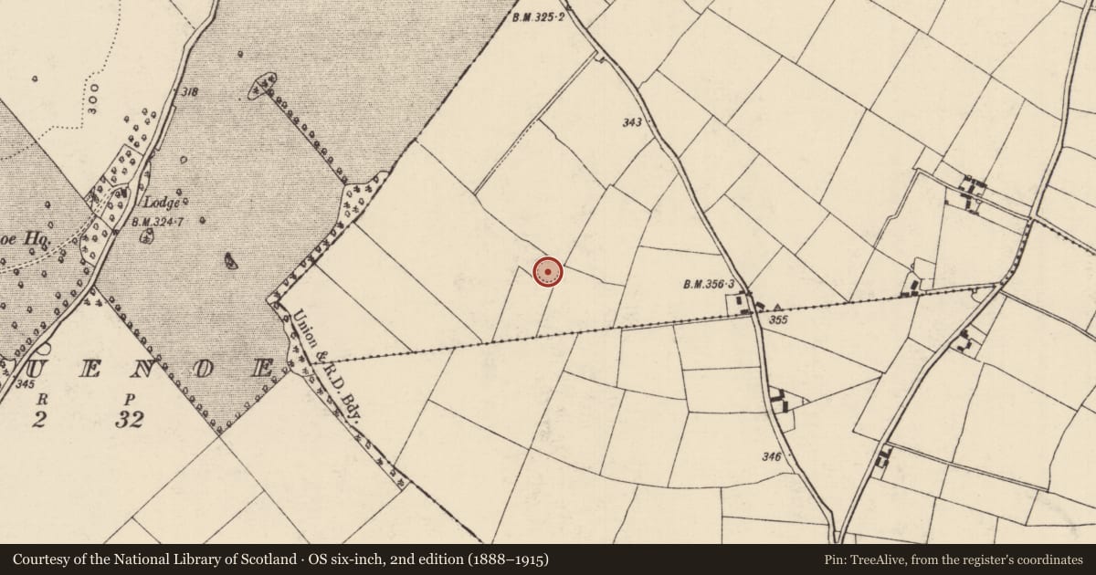 Ordnance Survey six-inch map, 2nd edition (1888–1915) covering the location of Ringfort - rath, Galbertstown Lower, County Tipperary North, with a pin at the register's coordinates
