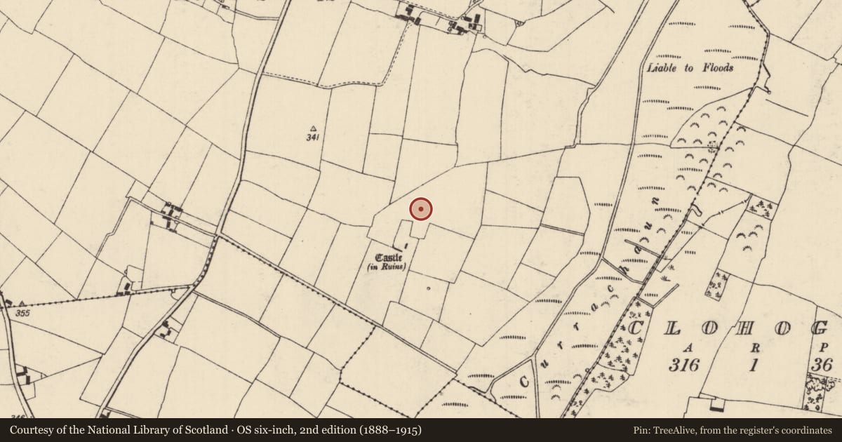 Ordnance Survey six-inch map, 2nd edition (1888–1915) covering the location of House - indeterminate date, Galbertstown Lower, County Tipperary North, with a pin at the register's coordinates