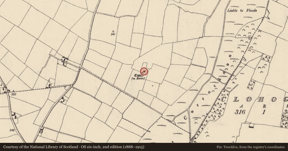 Ordnance Survey six-inch map, 2nd edition (1888–1915) covering the location of House - fortified house, Galbertstown Lower, County Tipperary North, with a pin at the register's coordinates