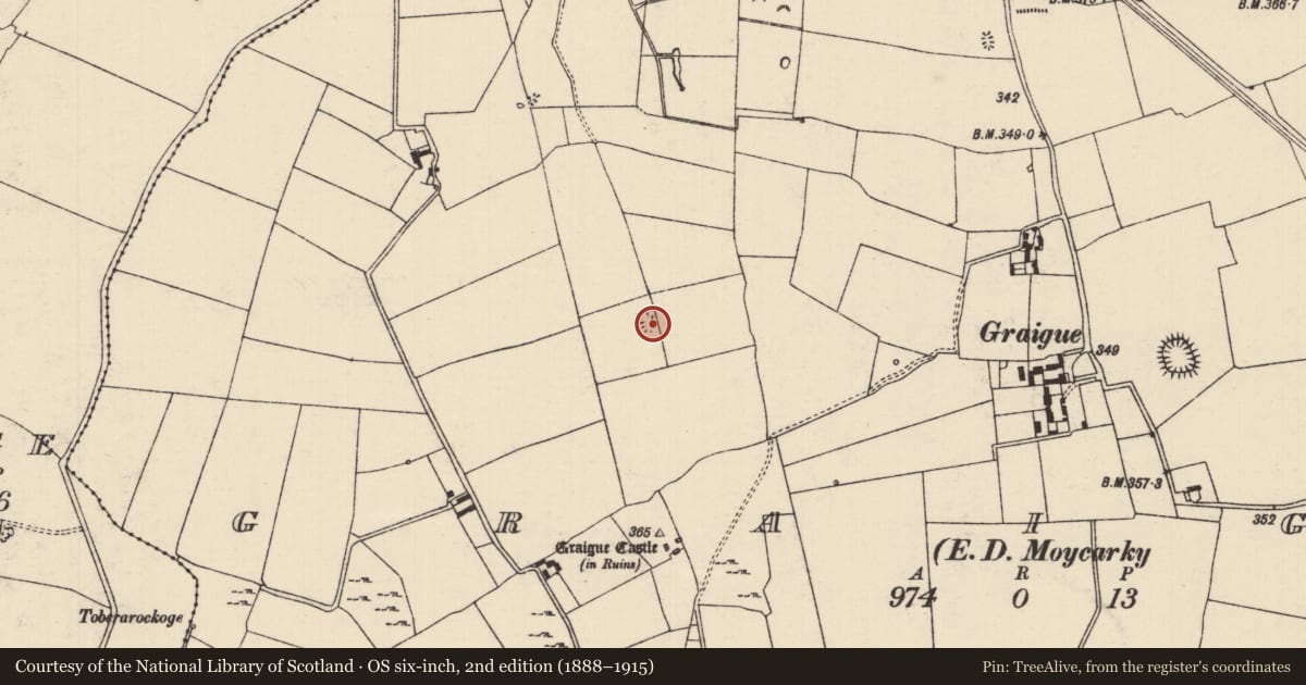 Ordnance Survey six-inch map, 2nd edition (1888–1915) covering the location of Ringfort - rath, Graigue (Moycarky Par.), County Tipperary North, with a pin at the register's coordinates