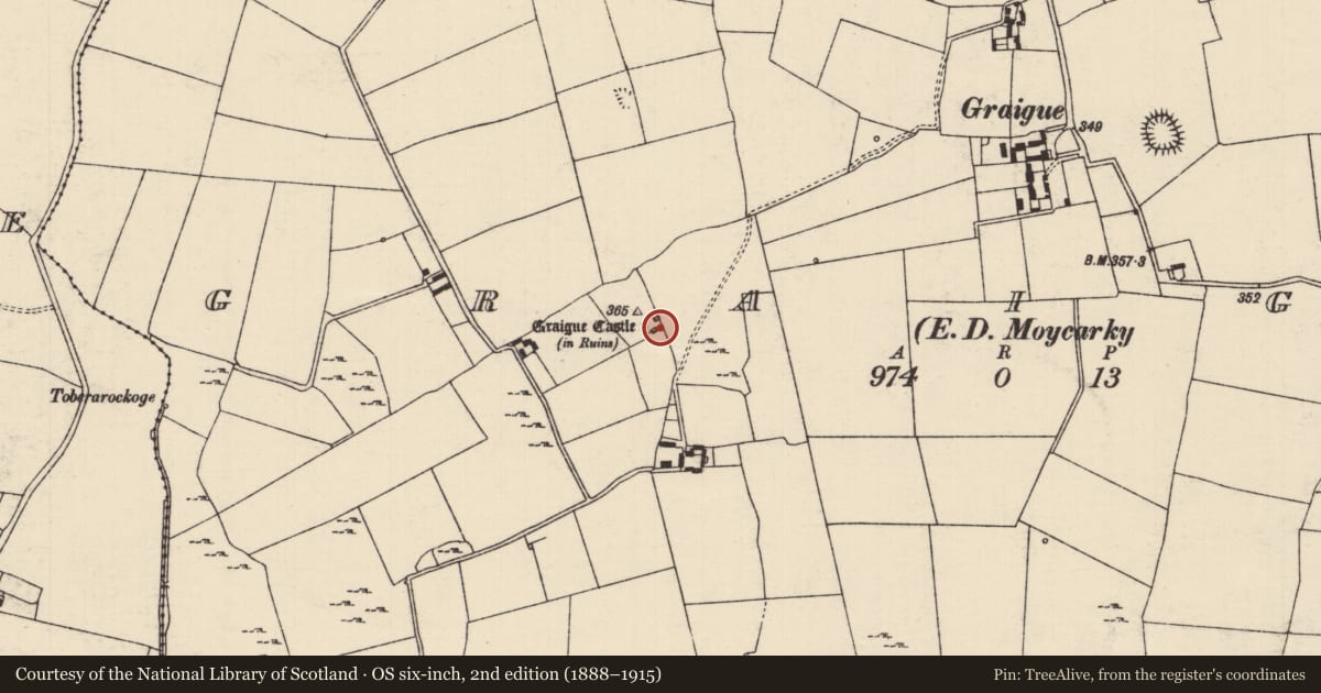 Ordnance Survey six-inch map, 2nd edition (1888–1915) covering the location of House - indeterminate date, Graigue (Moycarky Par.), County Tipperary North, with a pin at the register's coordinates