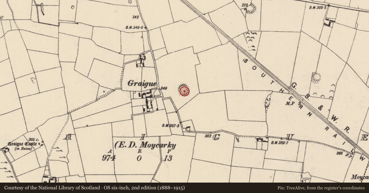 Ordnance Survey six-inch map, 2nd edition (1888–1915) covering the location of Ringfort - rath, Graigue (Moycarky Par.), County Tipperary North, with a pin at the register's coordinates