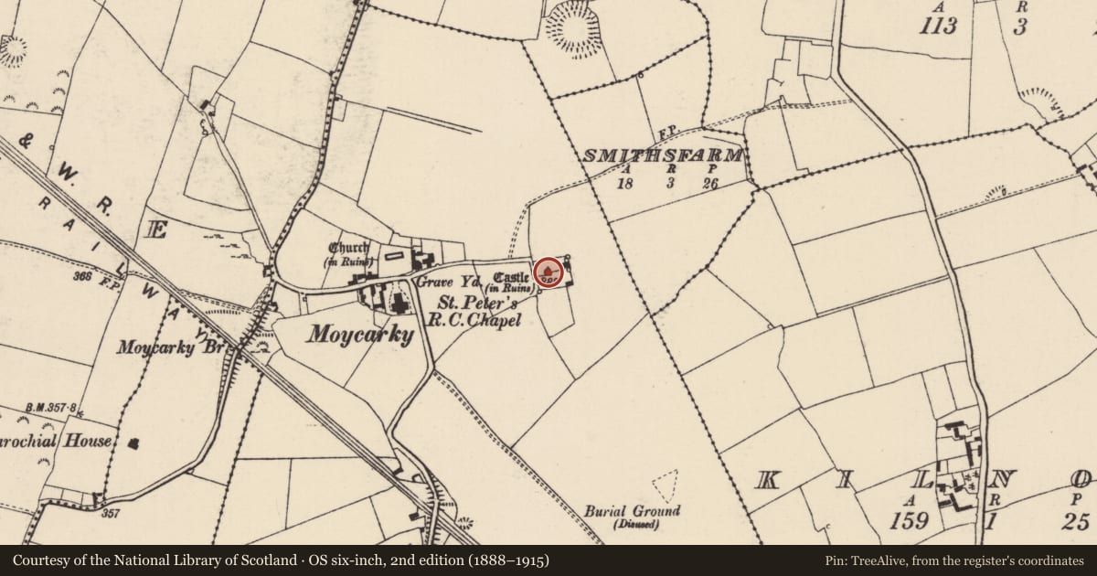 Ordnance Survey six-inch map, 2nd edition (1888–1915) covering the location of Castle - tower house, Moycarky, County Tipperary North, with a pin at the register's coordinates
