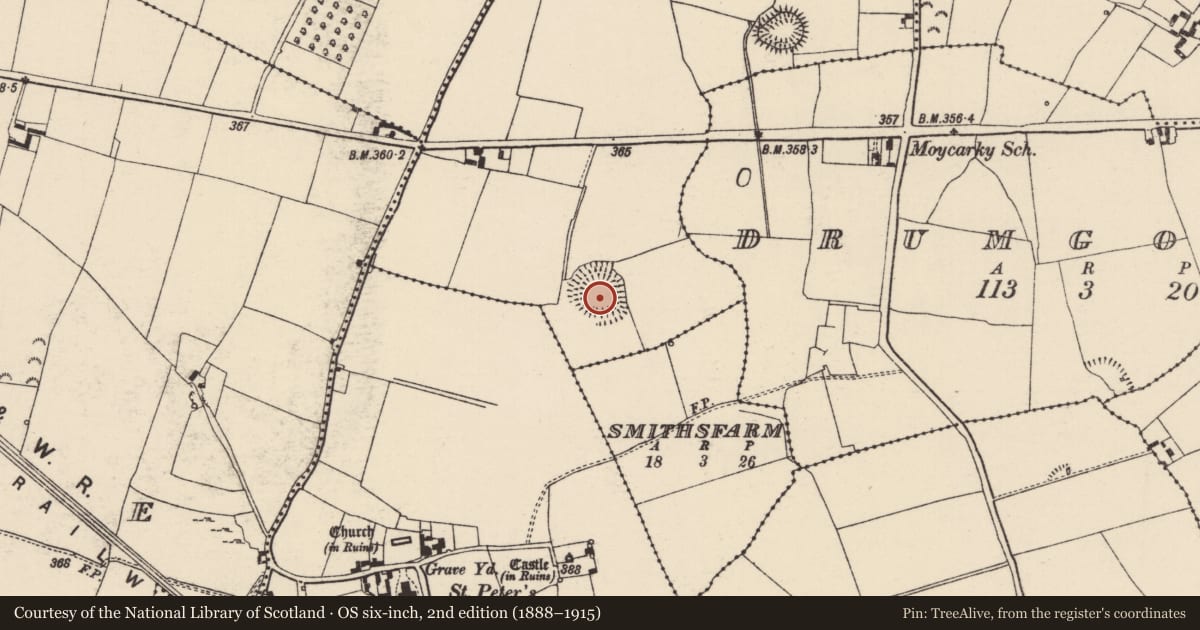 Ordnance Survey six-inch map, 2nd edition (1888–1915) covering the location of Ringfort - rath, Knockroe (Moycarky Par.), County Tipperary North, with a pin at the register's coordinates