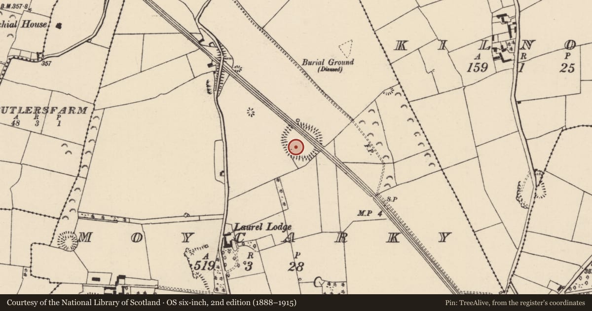 Ordnance Survey six-inch map, 2nd edition (1888–1915) covering the location of Ringfort - rath, Moycarky, County Tipperary North, with a pin at the register's coordinates
