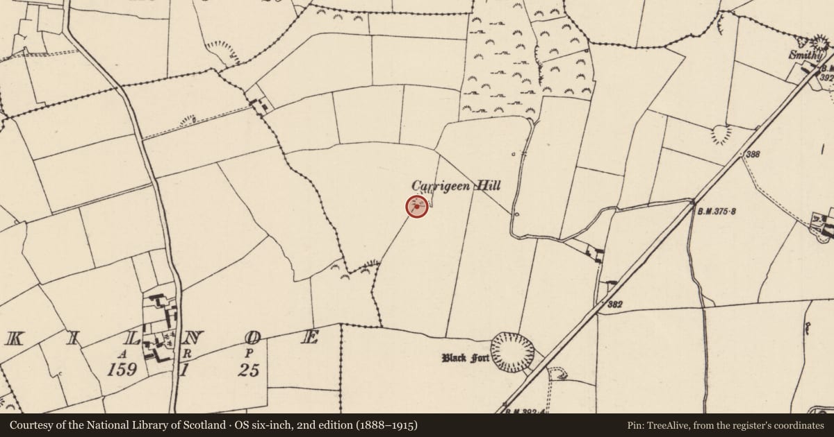 Ordnance Survey six-inch map, 2nd edition (1888–1915) covering the location of Enclosure, Parkstown, County Tipperary North, with a pin at the register's coordinates