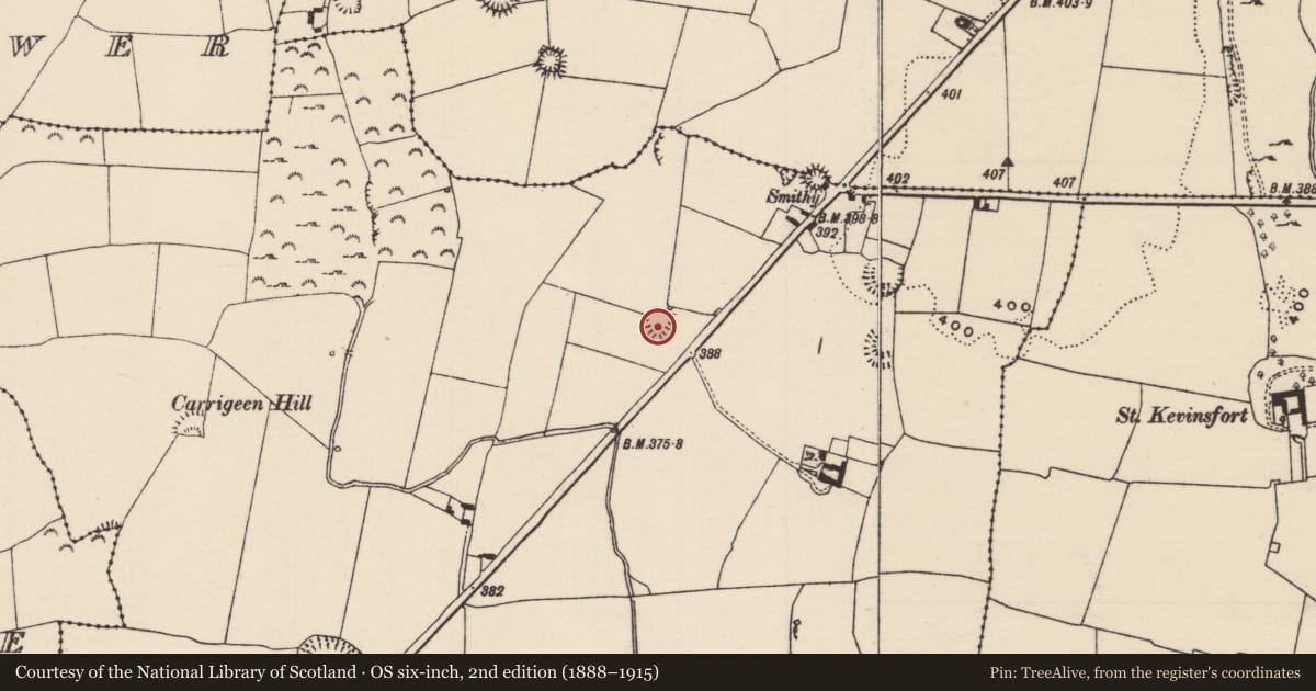Ordnance Survey six-inch map, 2nd edition (1888–1915) covering the location of Enclosure, Parkstown, County Tipperary North, with a pin at the register's coordinates