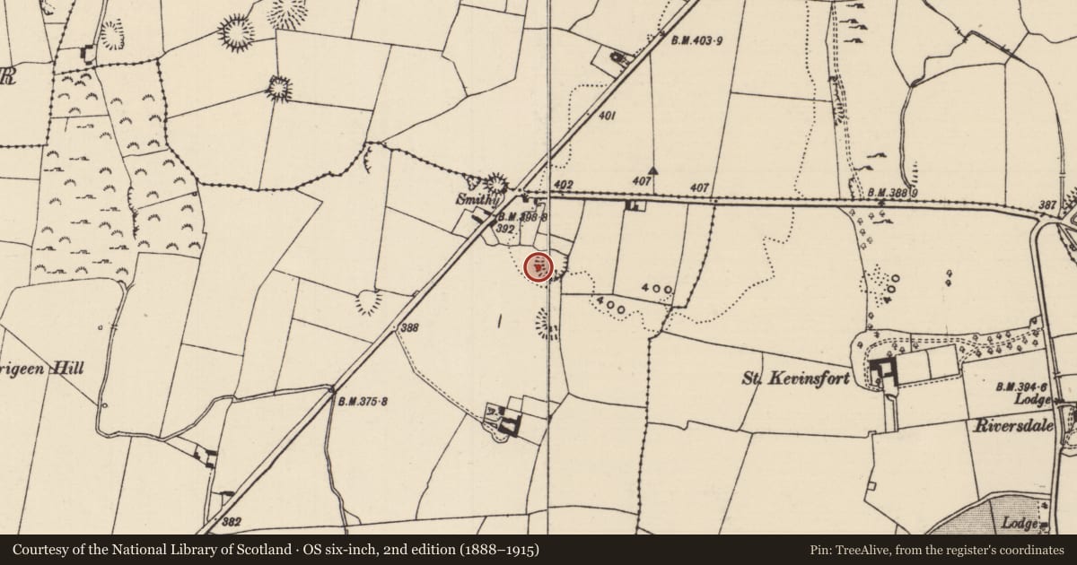 Ordnance Survey six-inch map, 2nd edition (1888–1915) covering the location of Enclosure, Parkstown, County Tipperary North, with a pin at the register's coordinates