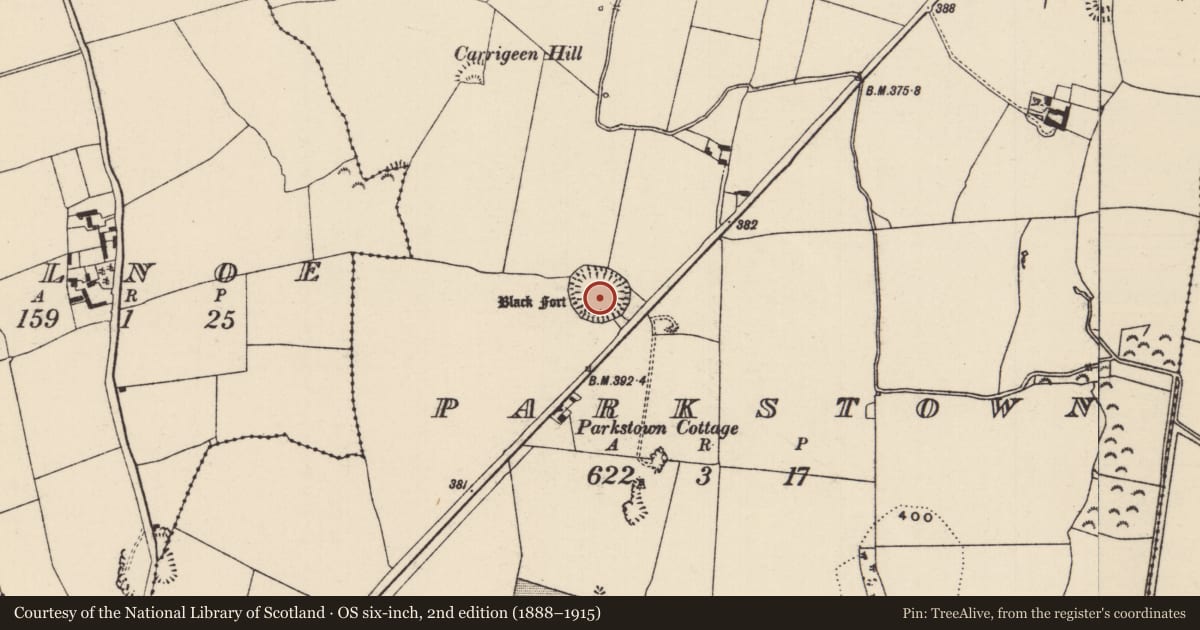 Ordnance Survey six-inch map, 2nd edition (1888–1915) covering the location of Ringfort - rath, Parkstown, County Tipperary North, with a pin at the register's coordinates