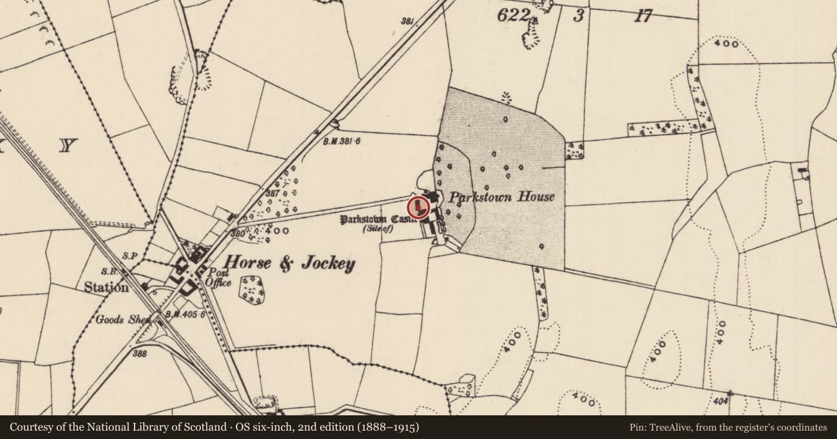 Ordnance Survey six-inch map, 2nd edition (1888–1915) covering the location of Castle - unclassified, Parkstown, County Tipperary North, with a pin at the register's coordinates