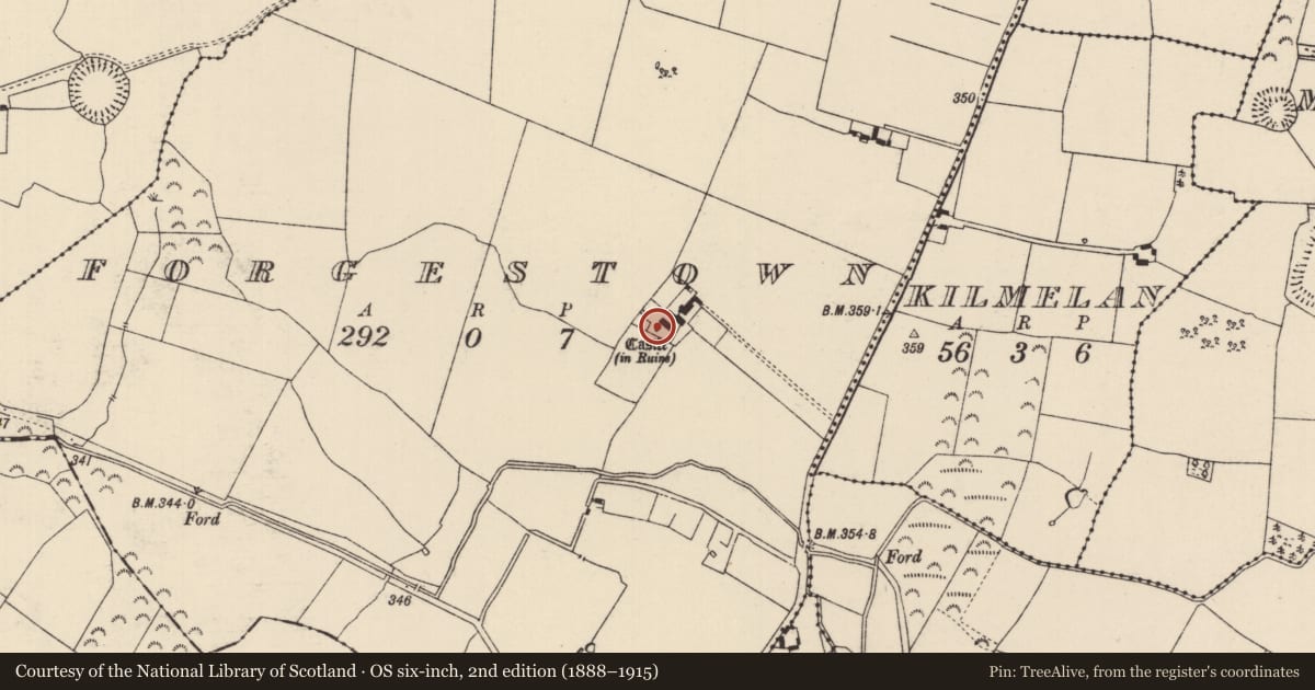 Ordnance Survey six-inch map, 2nd edition (1888–1915) covering the location of Castle - tower house, Forgestown, County Tipperary North, with a pin at the register's coordinates