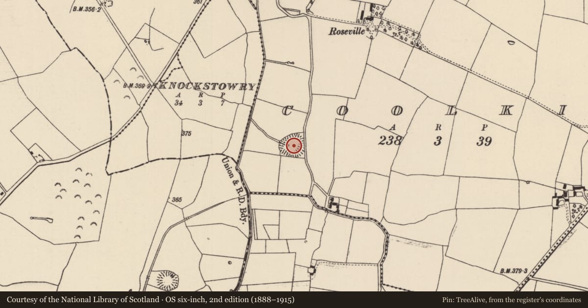 Ordnance Survey six-inch map, 2nd edition (1888–1915) covering the location of Ringfort - rath, Coolkip, County Tipperary North, with a pin at the register's coordinates