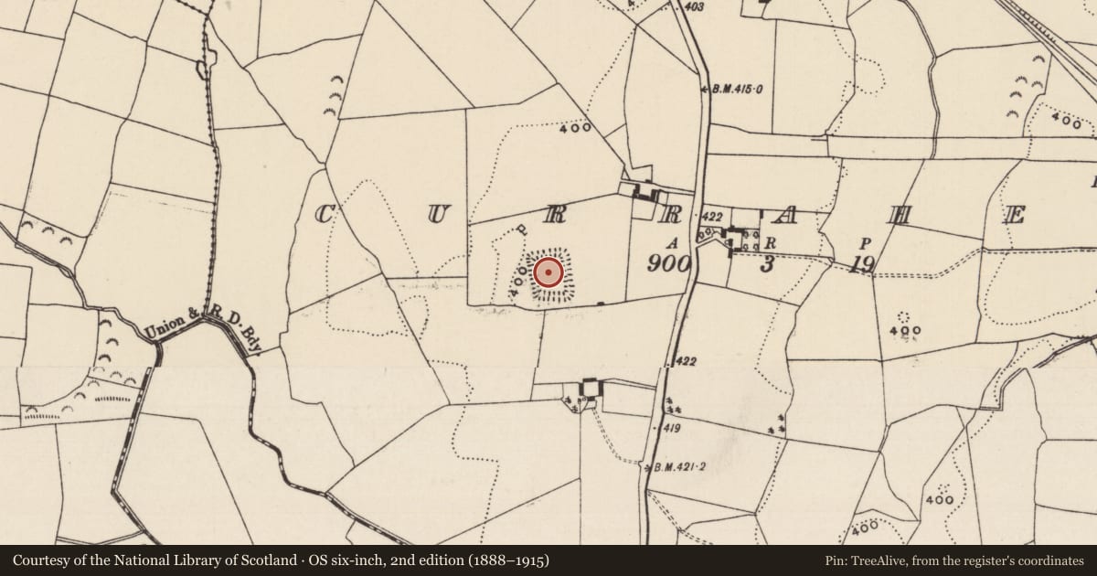 Ordnance Survey six-inch map, 2nd edition (1888–1915) covering the location of Moated site, Curraheen (Ballymurreen Par.), County Tipperary North, with a pin at the register's coordinates