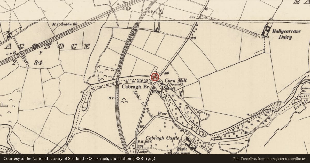 Ordnance Survey six-inch map, 2nd edition (1888–1915) covering the location of Ford, Cabragh, Commons (Thurles Par.), County Tipperary North, with a pin at the register's coordinates