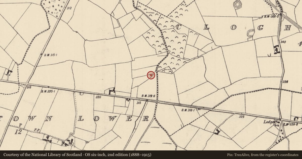 Ordnance Survey six-inch map, 2nd edition (1888–1915) covering the location of Road - road/trackway, Cloghmartin, Galbertstown Lower, County Tipperary North, with a pin at the register's coordinates