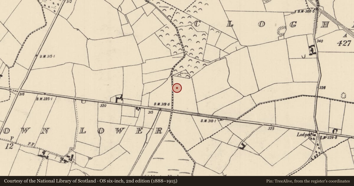 Ordnance Survey six-inch map, 2nd edition (1888–1915) covering the location of Ford, Cloghmartin, Galbertstown Lower, County Tipperary North, with a pin at the register's coordinates