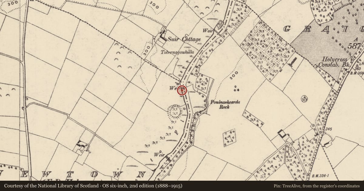 Ordnance Survey six-inch map, 2nd edition (1888–1915) covering the location of Weir - regulating, Newtown (Holycross Par.), County Tipperary North, with a pin at the register's coordinates