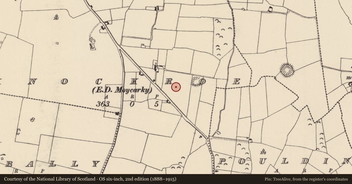 Ordnance Survey six-inch map, 2nd edition (1888–1915) covering the location of Enclosure, Knockroe (Moycarky Par.), County Tipperary North, with a pin at the register's coordinates