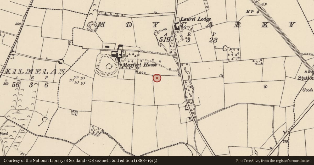 Ordnance Survey six-inch map, 2nd edition (1888–1915) covering the location of Road - hollow-way, Moycarky, County Tipperary North, with a pin at the register's coordinates