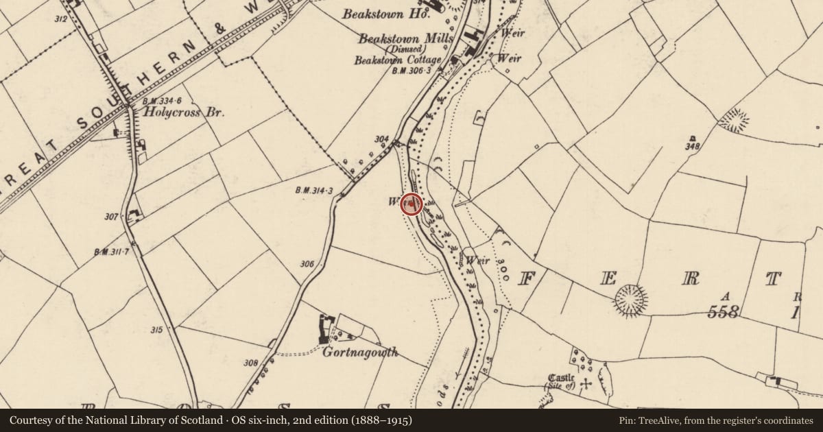 Ordnance Survey six-inch map, 2nd edition (1888–1915) covering the location of Weir - regulating, Fertiana, Holycross, County Tipperary North, with a pin at the register's coordinates