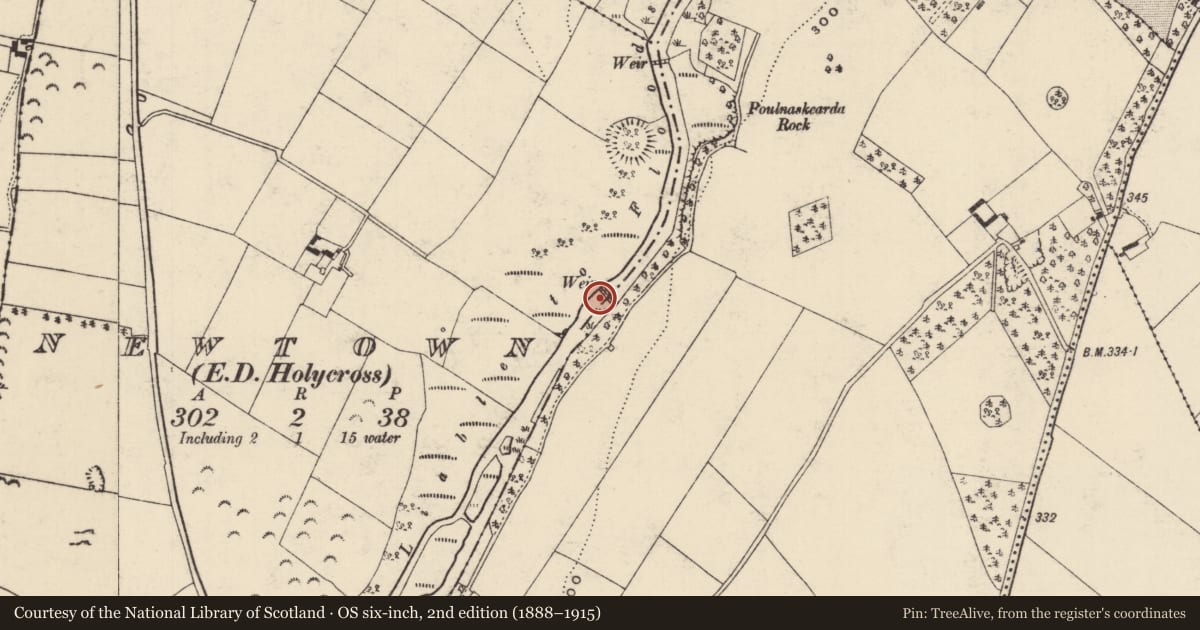 Ordnance Survey six-inch map, 2nd edition (1888–1915) covering the location of Weir - fish, Newtown (Holycross Par.), County Tipperary North, with a pin at the register's coordinates