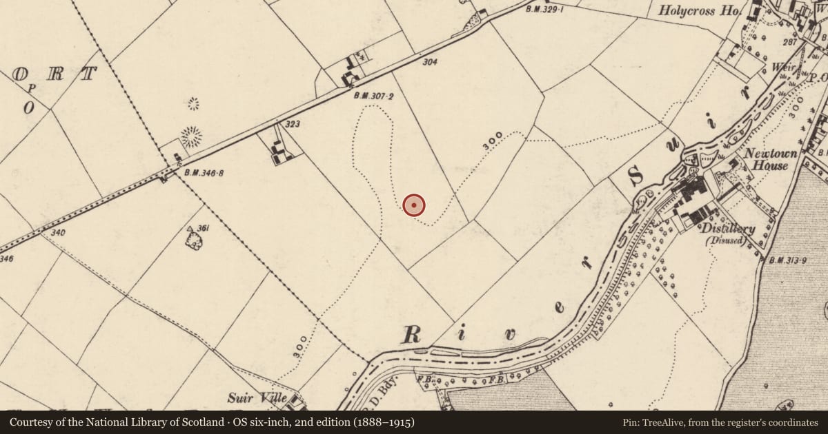 Ordnance Survey six-inch map, 2nd edition (1888–1915) covering the location of Enclosure, Holycross, County Tipperary North, with a pin at the register's coordinates