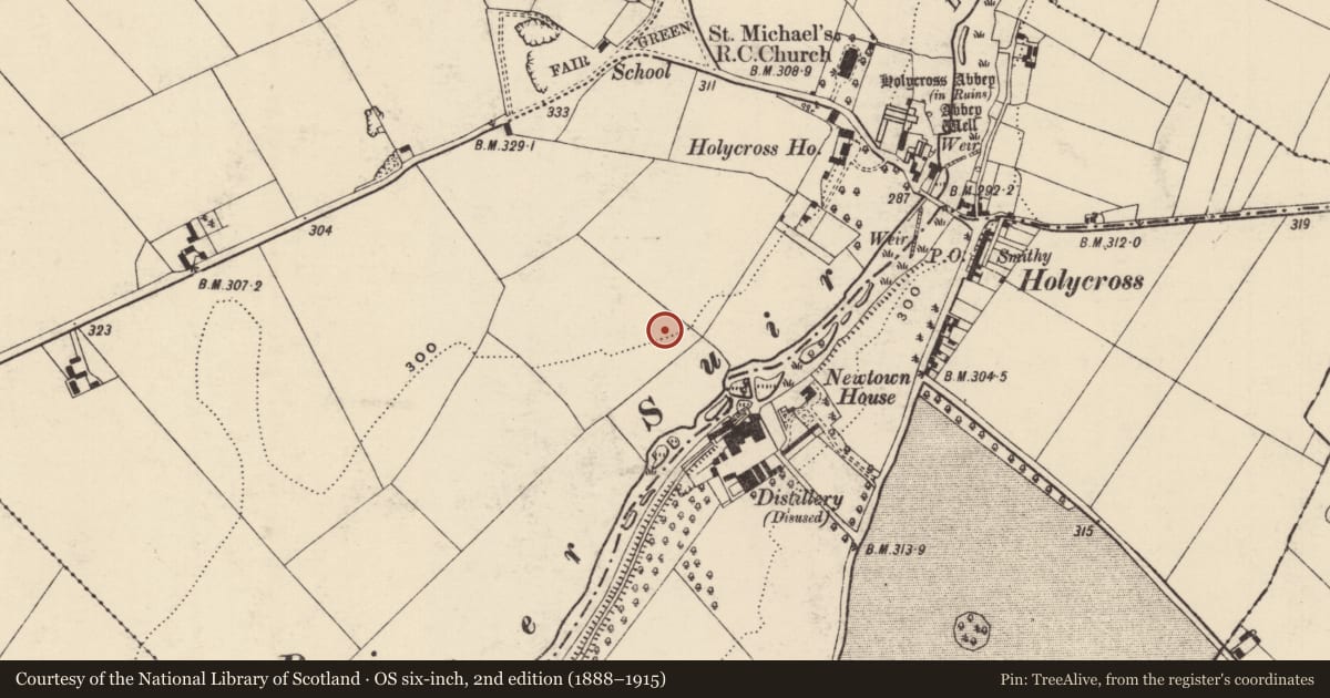 Ordnance Survey six-inch map, 2nd edition (1888–1915) covering the location of Enclosure, Holycross, County Tipperary North, with a pin at the register's coordinates