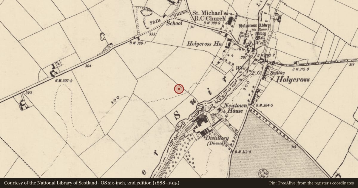 Ordnance Survey six-inch map, 2nd edition (1888–1915) covering the location of Enclosure, Holycross, County Tipperary North, with a pin at the register's coordinates