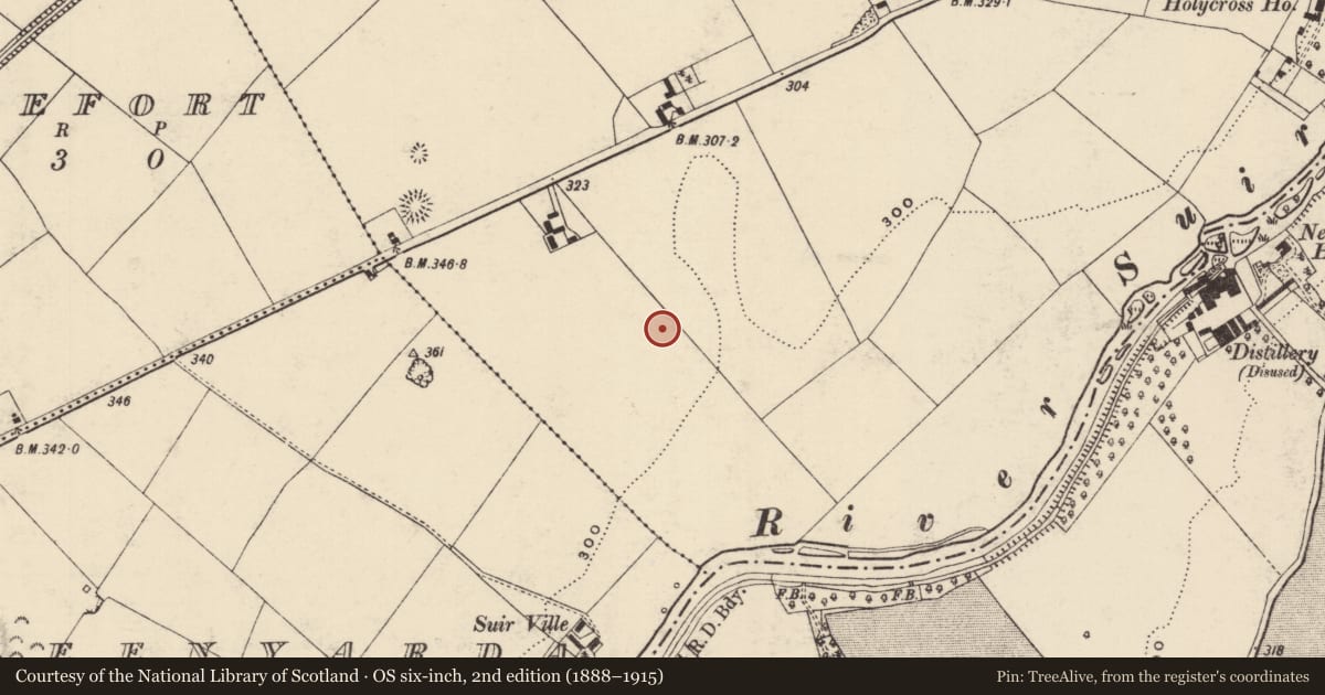 Ordnance Survey six-inch map, 2nd edition (1888–1915) covering the location of Enclosure, Holycross, County Tipperary North, with a pin at the register's coordinates