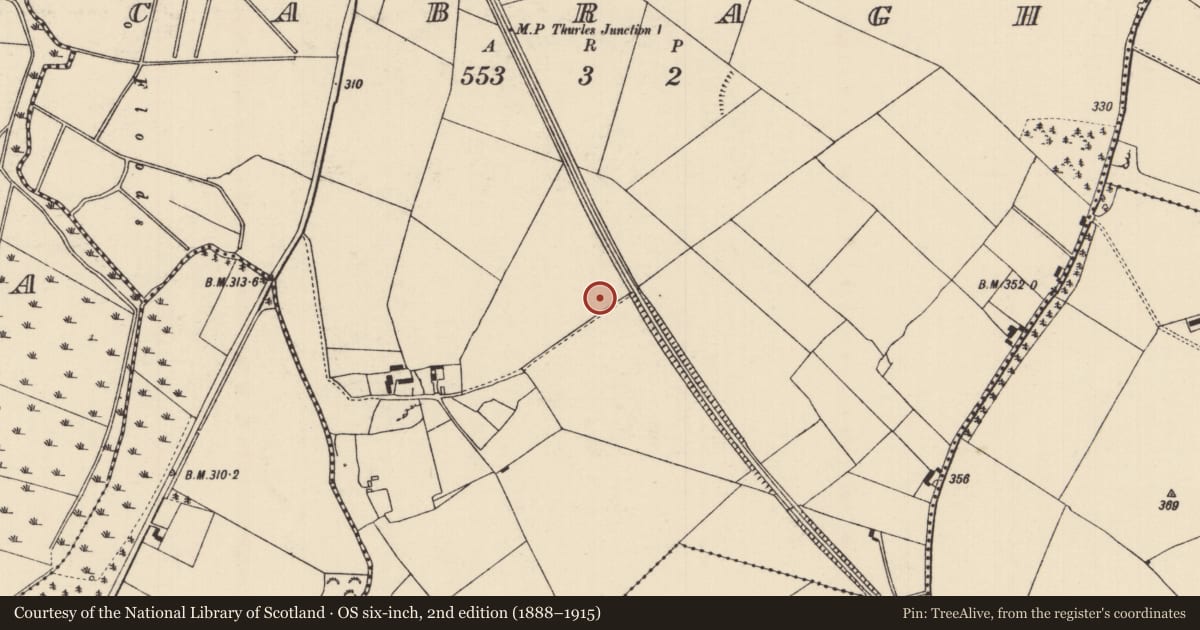 Ordnance Survey six-inch map, 2nd edition (1888–1915) covering the location of Enclosure, Cabragh, County Tipperary North, with a pin at the register's coordinates