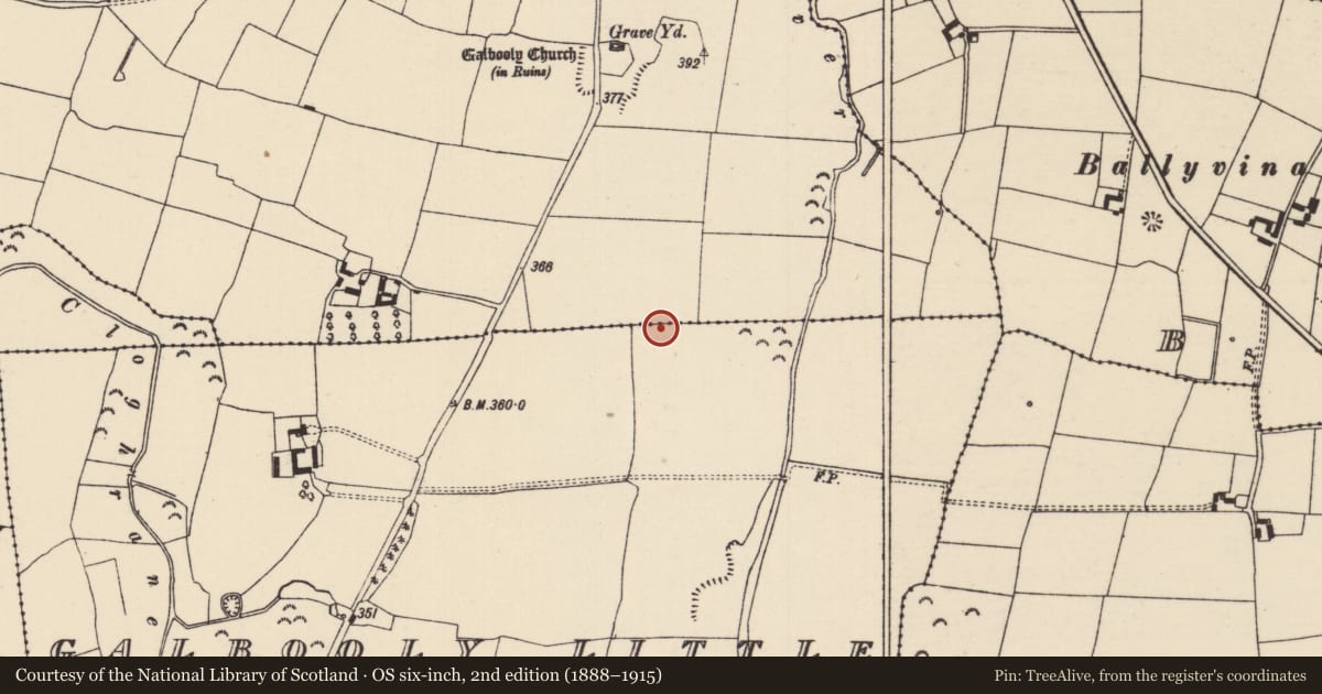 Ordnance Survey six-inch map, 2nd edition (1888–1915) covering the location of Enclosure, Galbooly Little, County Tipperary North, with a pin at the register's coordinates