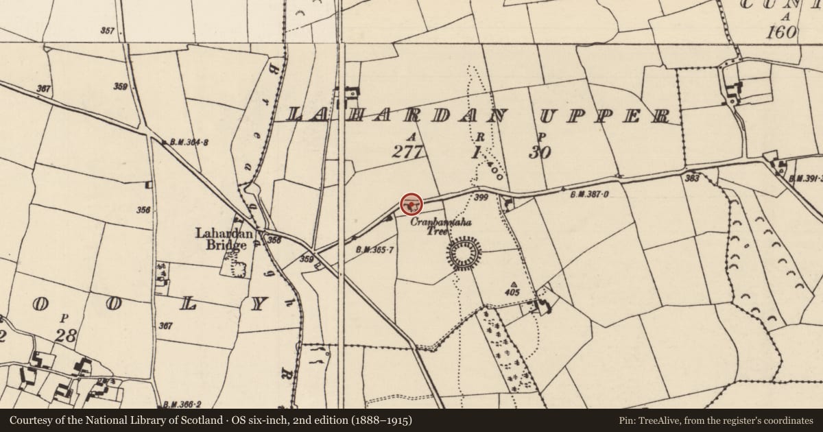 Ordnance Survey six-inch map, 2nd edition (1888–1915) covering the location of Ritual site - holy tree/bush, Lahardan Upper, County Tipperary North, with a pin at the register's coordinates