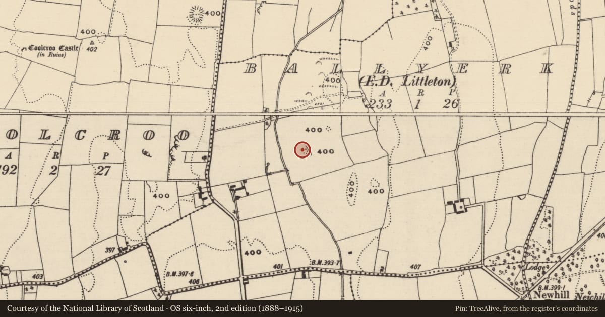 Ordnance Survey six-inch map, 2nd edition (1888–1915) covering the location of Mound, Ballyerk (Twomileborris Par.), County Tipperary North, with a pin at the register's coordinates