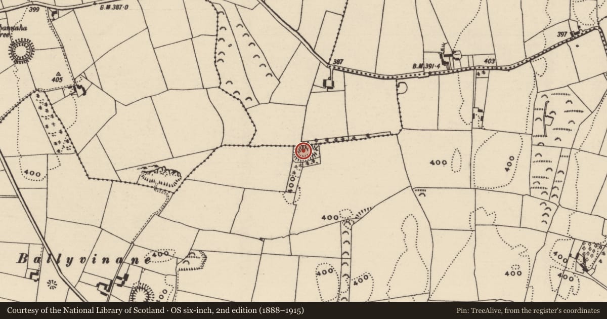 Ordnance Survey six-inch map, 2nd edition (1888–1915) covering the location of Moated site, Ballydavid (Twomileborris Par.), Rathcunikeen, County Tipperary North, with a pin at the register's coordinates