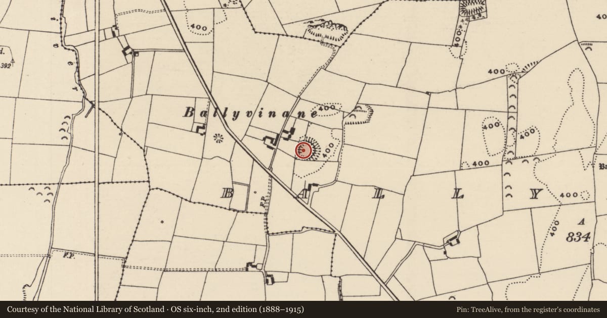 Ordnance Survey six-inch map, 2nd edition (1888–1915) covering the location of Ringfort - rath, Ballydavid (Twomileborris Par.), County Tipperary North, with a pin at the register's coordinates