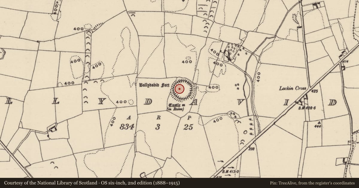 Ordnance Survey six-inch map, 2nd edition (1888–1915) covering the location of Ringfort - rath, Ballydavid (Twomileborris Par.), County Tipperary North, with a pin at the register's coordinates