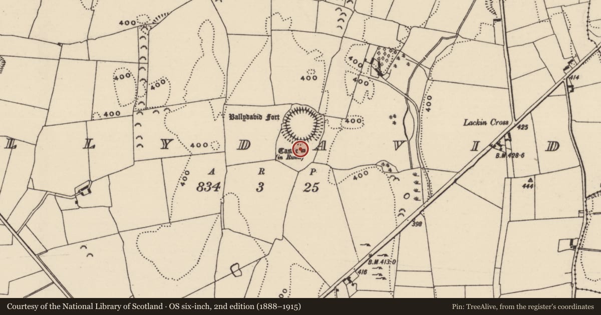 Ordnance Survey six-inch map, 2nd edition (1888–1915) covering the location of Castle - unclassified, Ballydavid (Twomileborris Par.), County Tipperary North, with a pin at the register's coordinates