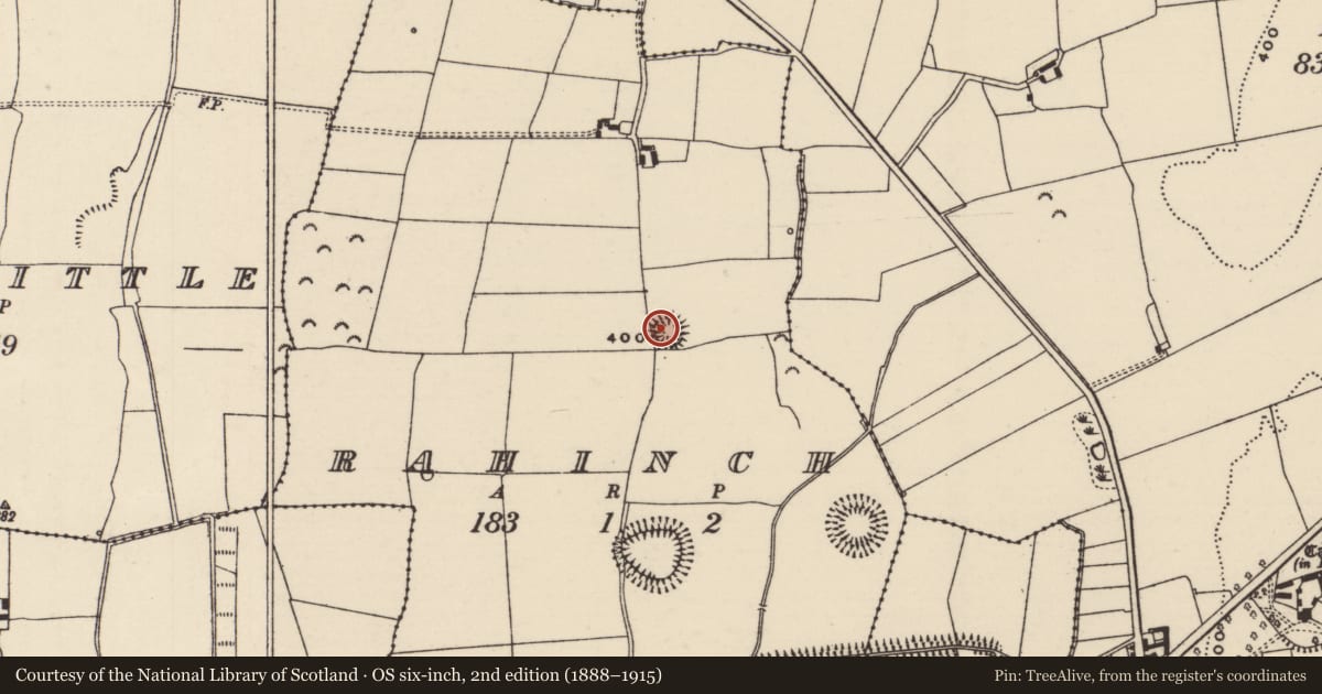 Ordnance Survey six-inch map, 2nd edition (1888–1915) covering the location of Ringfort - rath, Rahinch, County Tipperary North, with a pin at the register's coordinates