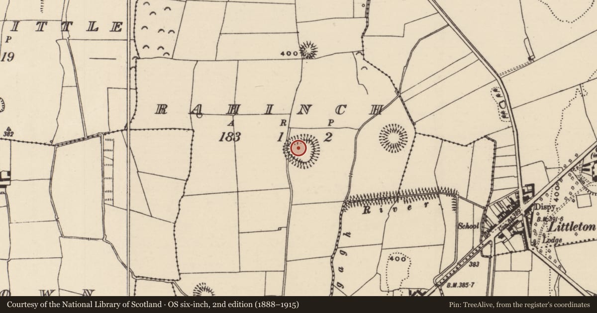 Ordnance Survey six-inch map, 2nd edition (1888–1915) covering the location of Ringfort - rath, Rahinch, County Tipperary North, with a pin at the register's coordinates