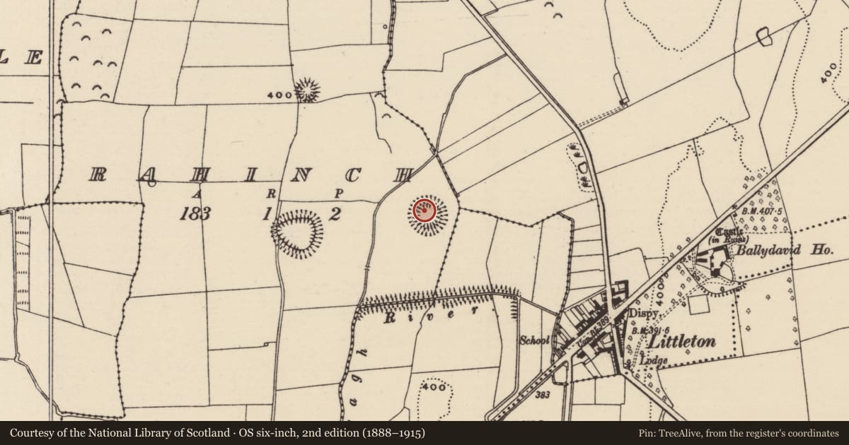 Ordnance Survey six-inch map, 2nd edition (1888–1915) covering the location of Ringfort - rath, Rahinch, County Tipperary North, with a pin at the register's coordinates