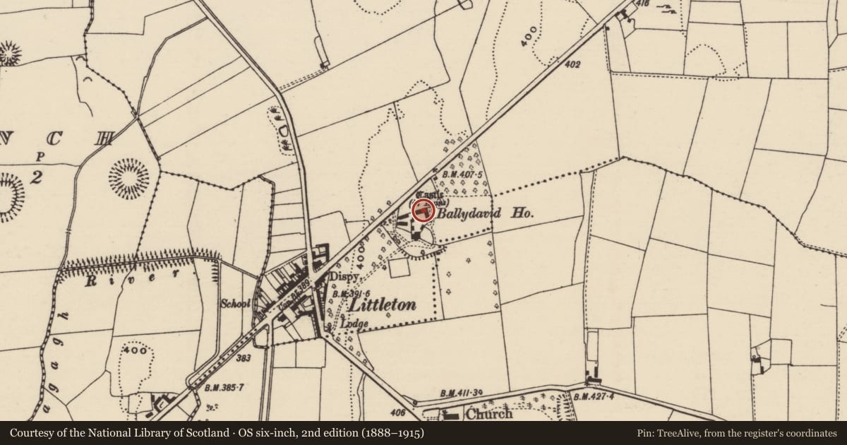 Ordnance Survey six-inch map, 2nd edition (1888–1915) covering the location of Castle - tower house, Ballydavid (Twomileborris Par.), County Tipperary North, with a pin at the register's coordinates