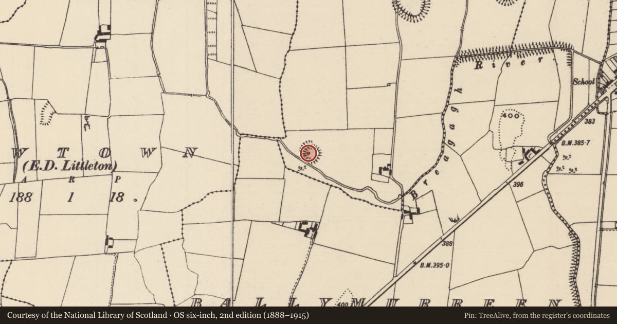 Ordnance Survey six-inch map, 2nd edition (1888–1915) covering the location of Ringfort - rath, Rahinch, County Tipperary North, with a pin at the register's coordinates