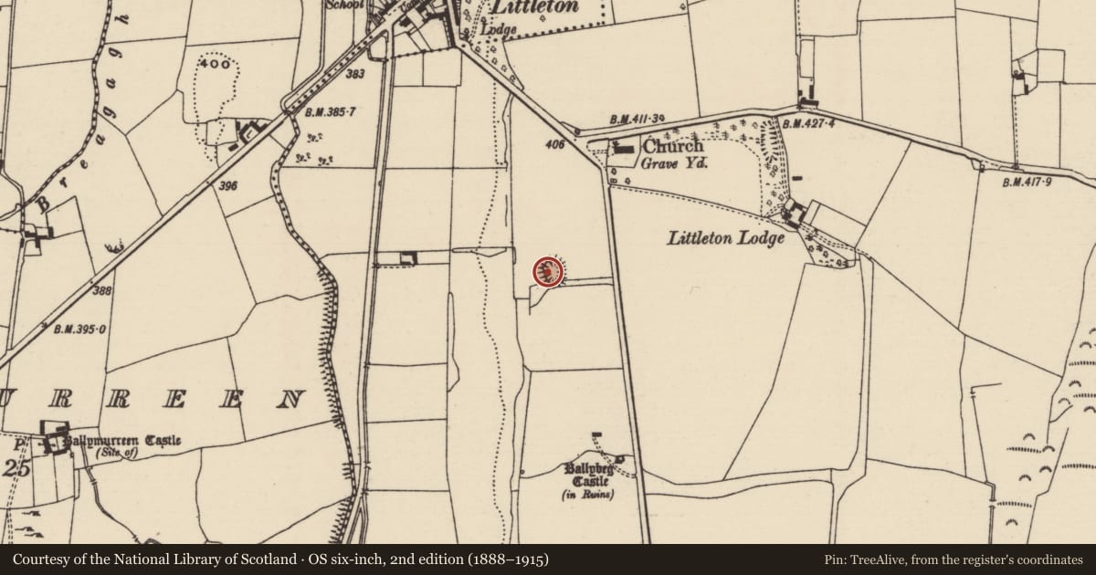 Ordnance Survey six-inch map, 2nd edition (1888–1915) covering the location of Ringfort - rath, Ballybeg (Two-mile-borris Par.), County Tipperary North, with a pin at the register's coordinates