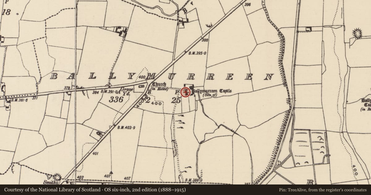 Ordnance Survey six-inch map, 2nd edition (1888–1915) covering the location of Castle - unclassified, Ballymurreen, County Tipperary North, with a pin at the register's coordinates