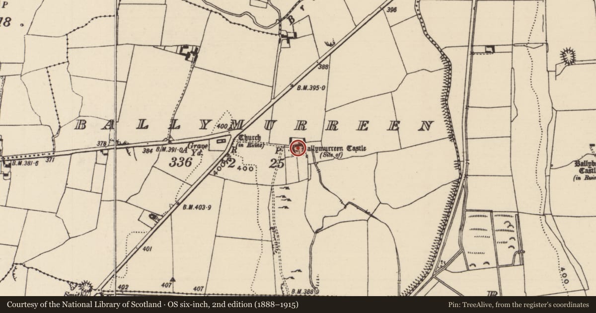 Ordnance Survey six-inch map, 2nd edition (1888–1915) covering the location of Bawn, Ballymurreen, County Tipperary North, with a pin at the register's coordinates