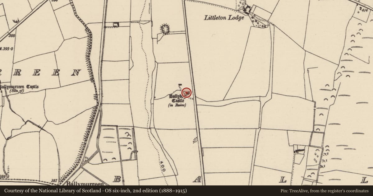 Ordnance Survey six-inch map, 2nd edition (1888–1915) covering the location of Castle - tower house, Ballybeg (Two-mile-borris Par.), County Tipperary North, with a pin at the register's coordinates