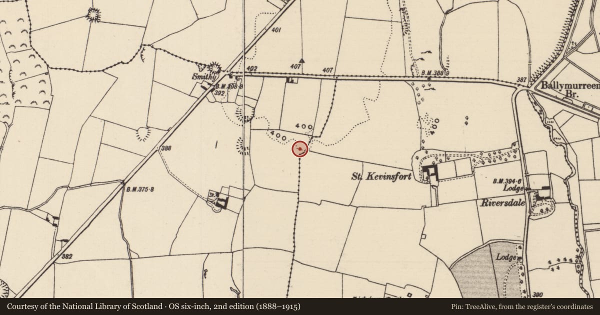 Ordnance Survey six-inch map, 2nd edition (1888–1915) covering the location of Enclosure, Liskeveen, Parkstown, County Tipperary North, with a pin at the register's coordinates