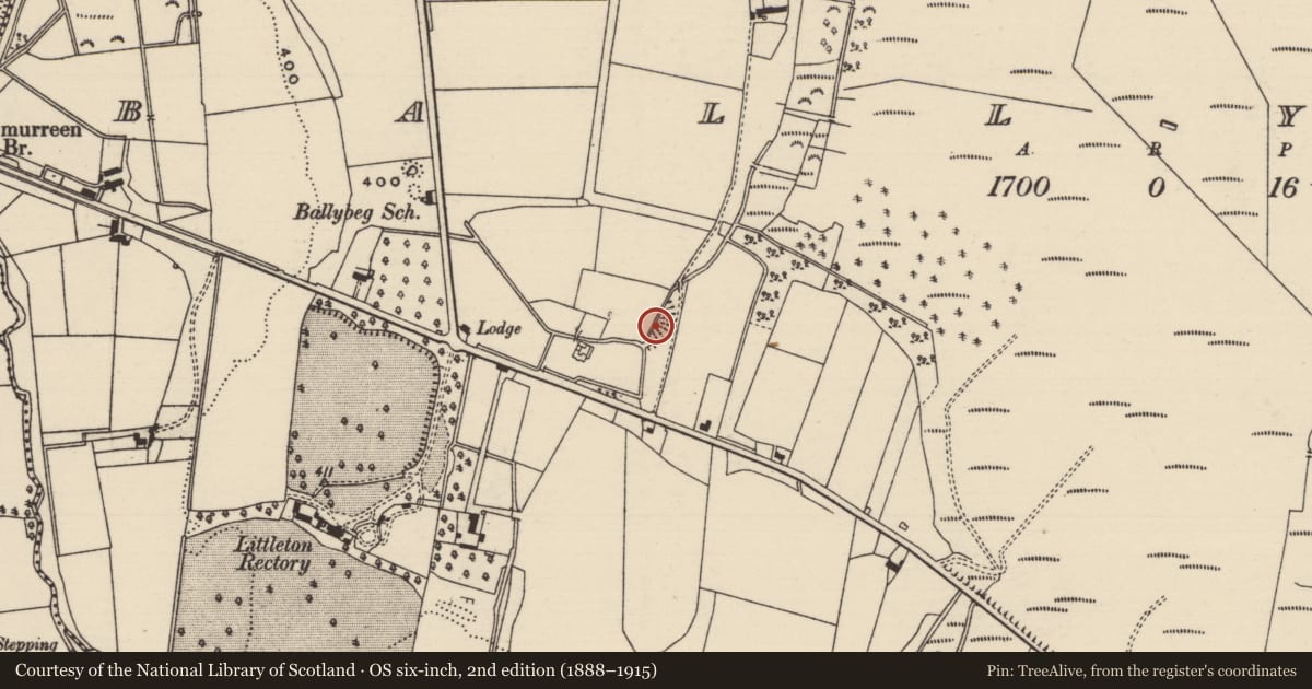 Ordnance Survey six-inch map, 2nd edition (1888–1915) covering the location of Enclosure, Ballybeg (Two-mile-borris Par.), County Tipperary North, with a pin at the register's coordinates