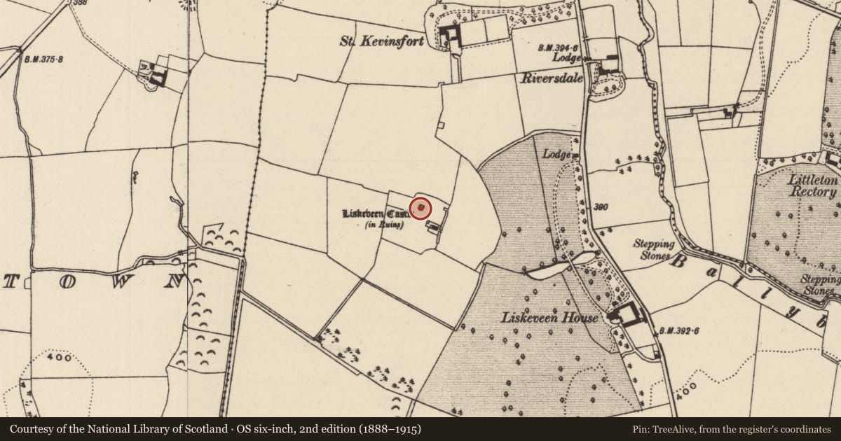 Ordnance Survey six-inch map, 2nd edition (1888–1915) covering the location of Castle - tower house, Liskeveen, County Tipperary North, with a pin at the register's coordinates