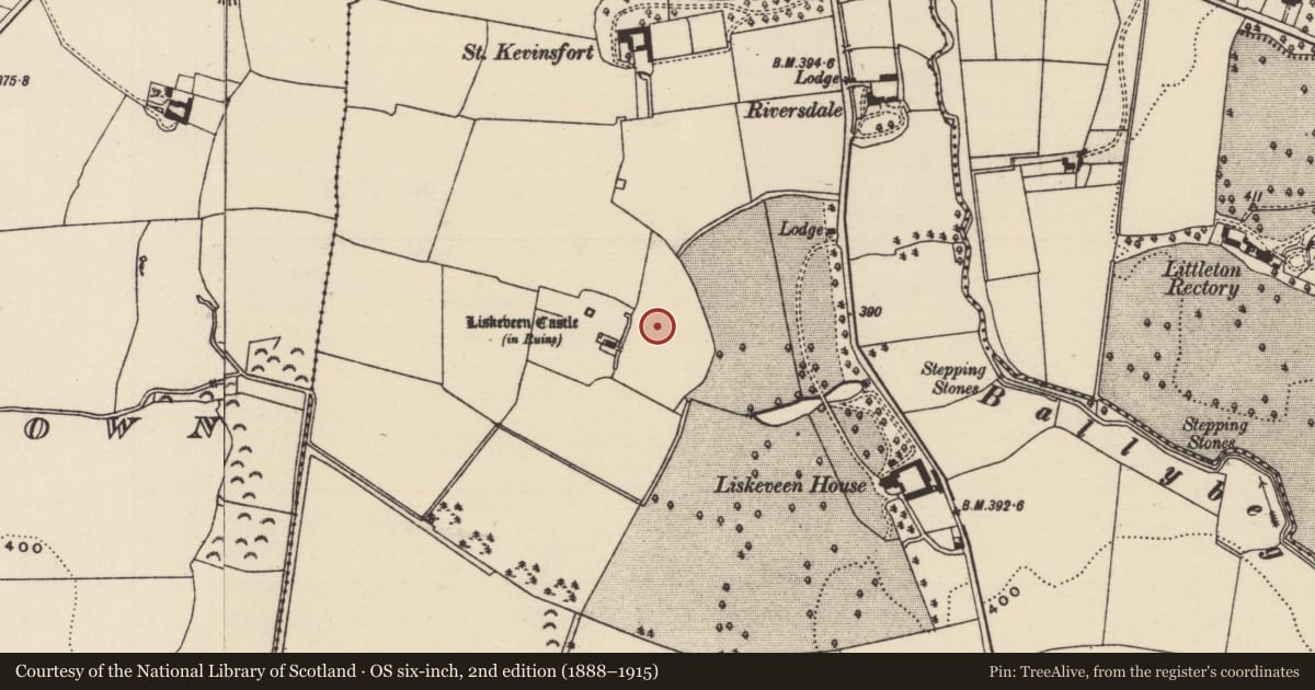 Ordnance Survey six-inch map, 2nd edition (1888–1915) covering the location of Enclosure, Liskeveen, County Tipperary North, with a pin at the register's coordinates